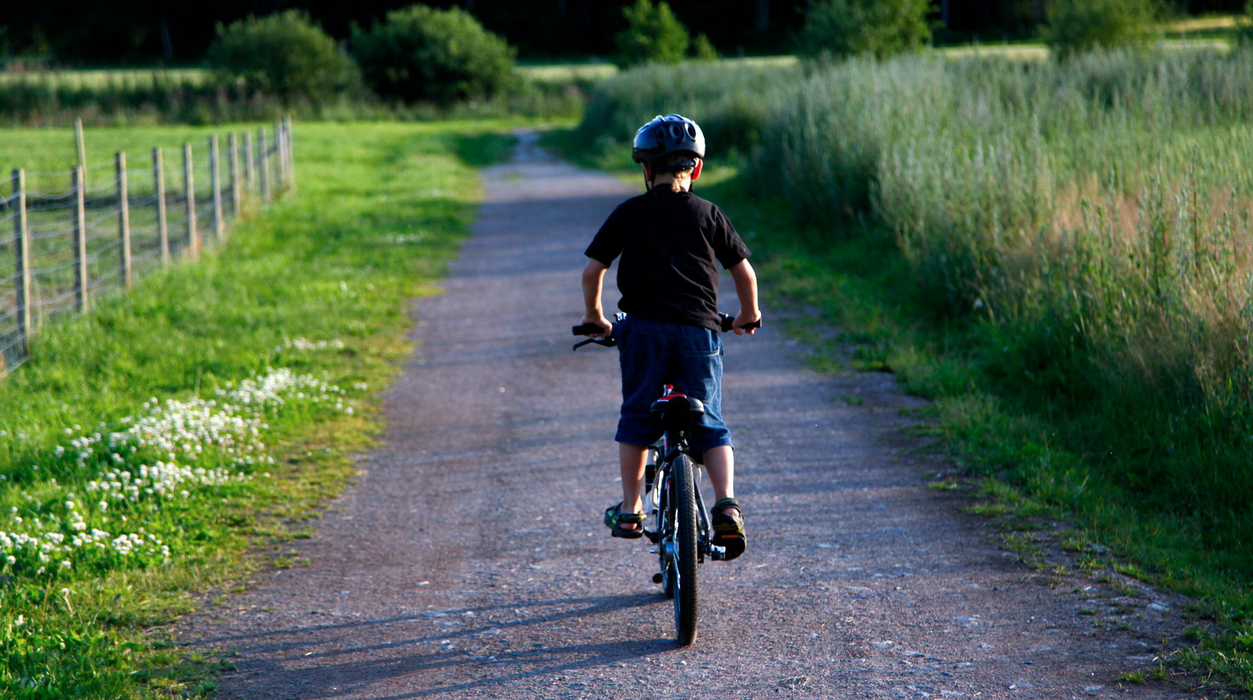 En ung cyklist cyklar på en somrig landsväg. 